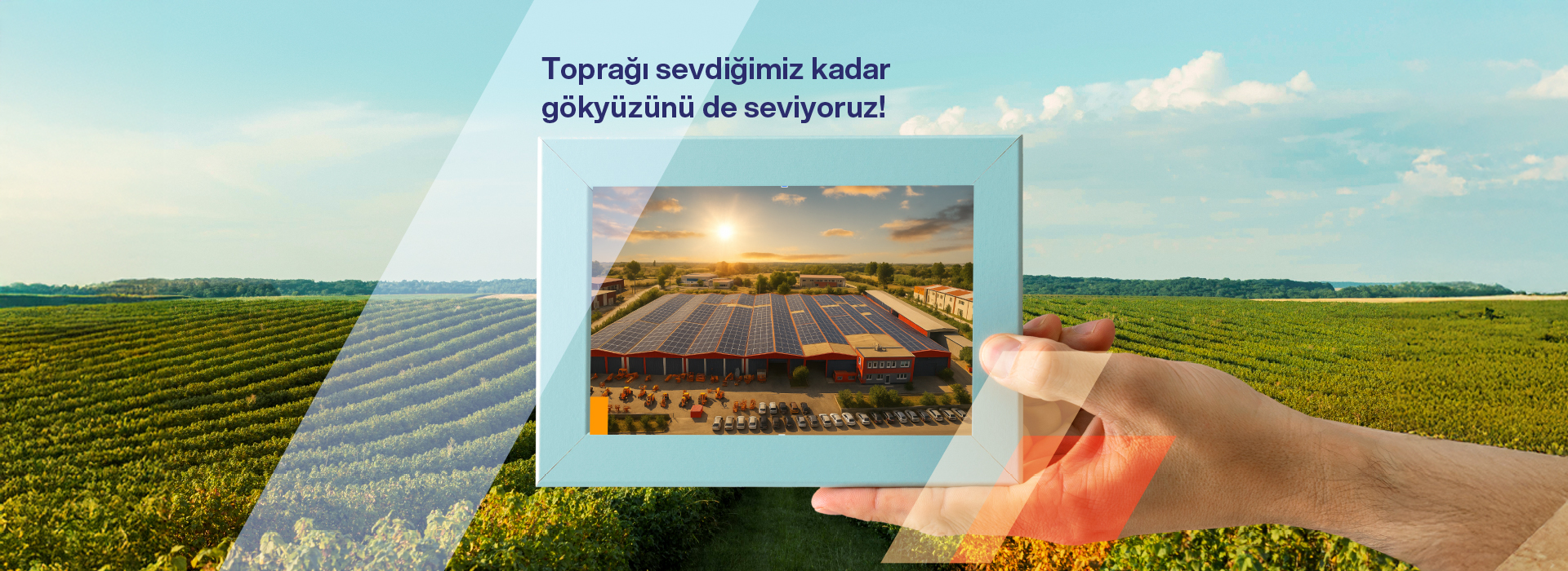 lorem ipsum dolor sit