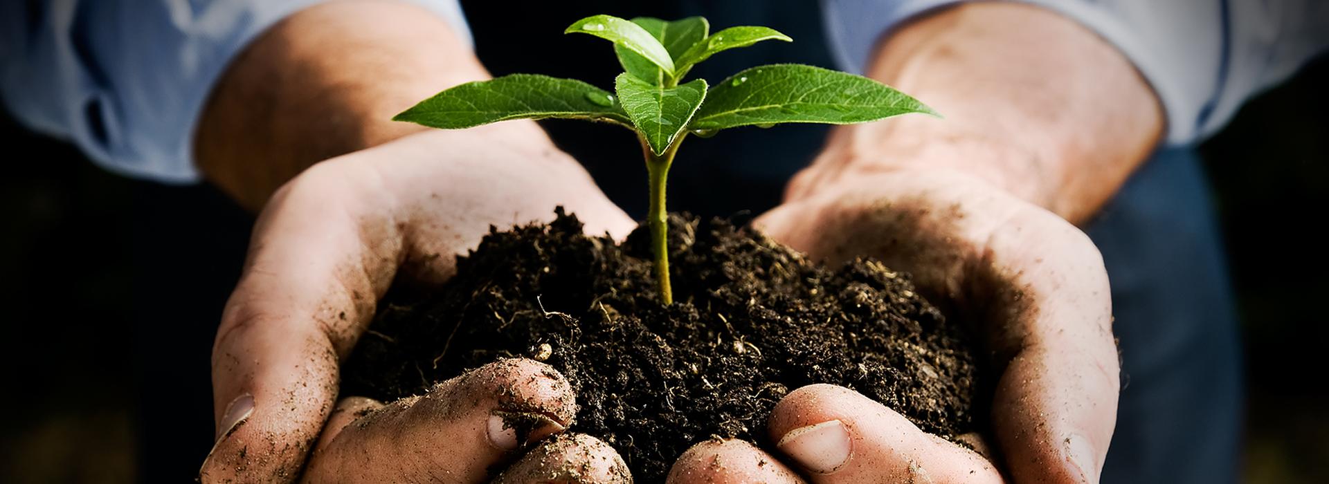 lorem ipsum dolor sit